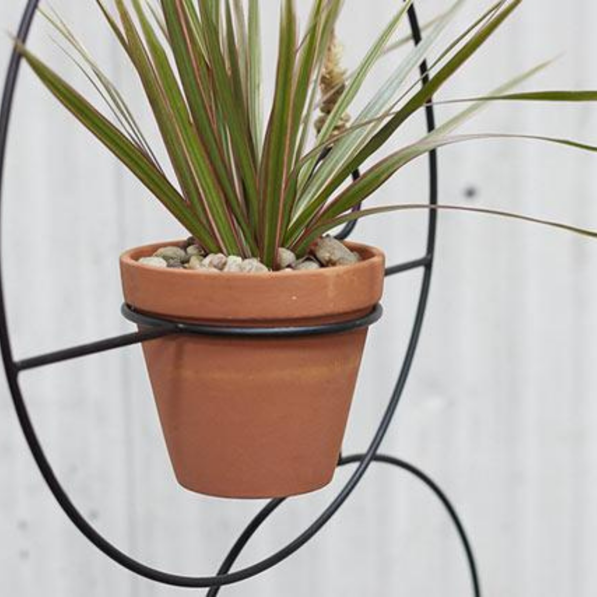 Plantie Hanging holder with pot