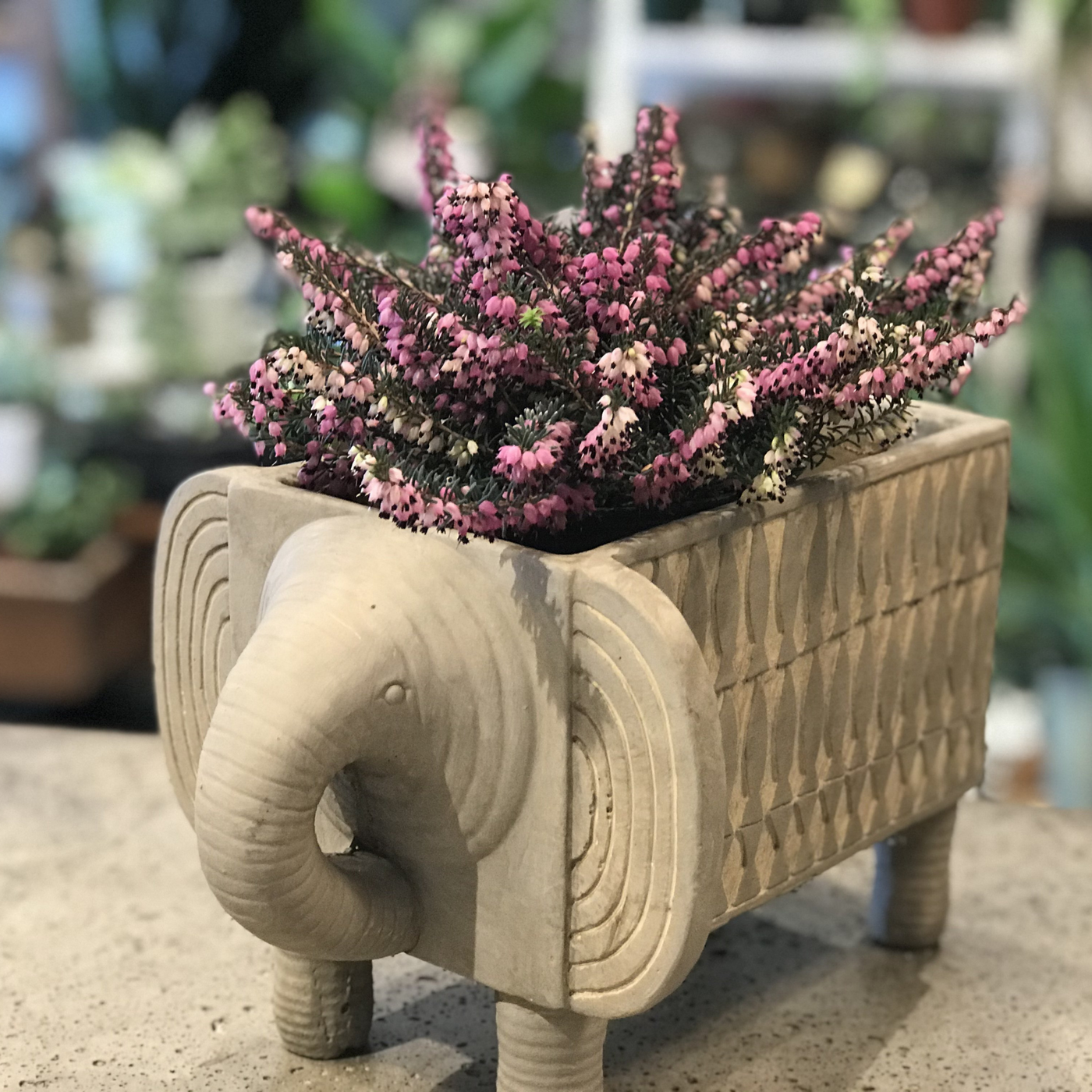 Square Elephant Planters