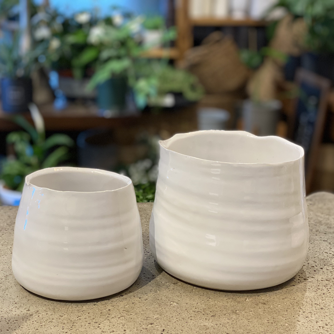 Tegan Pot