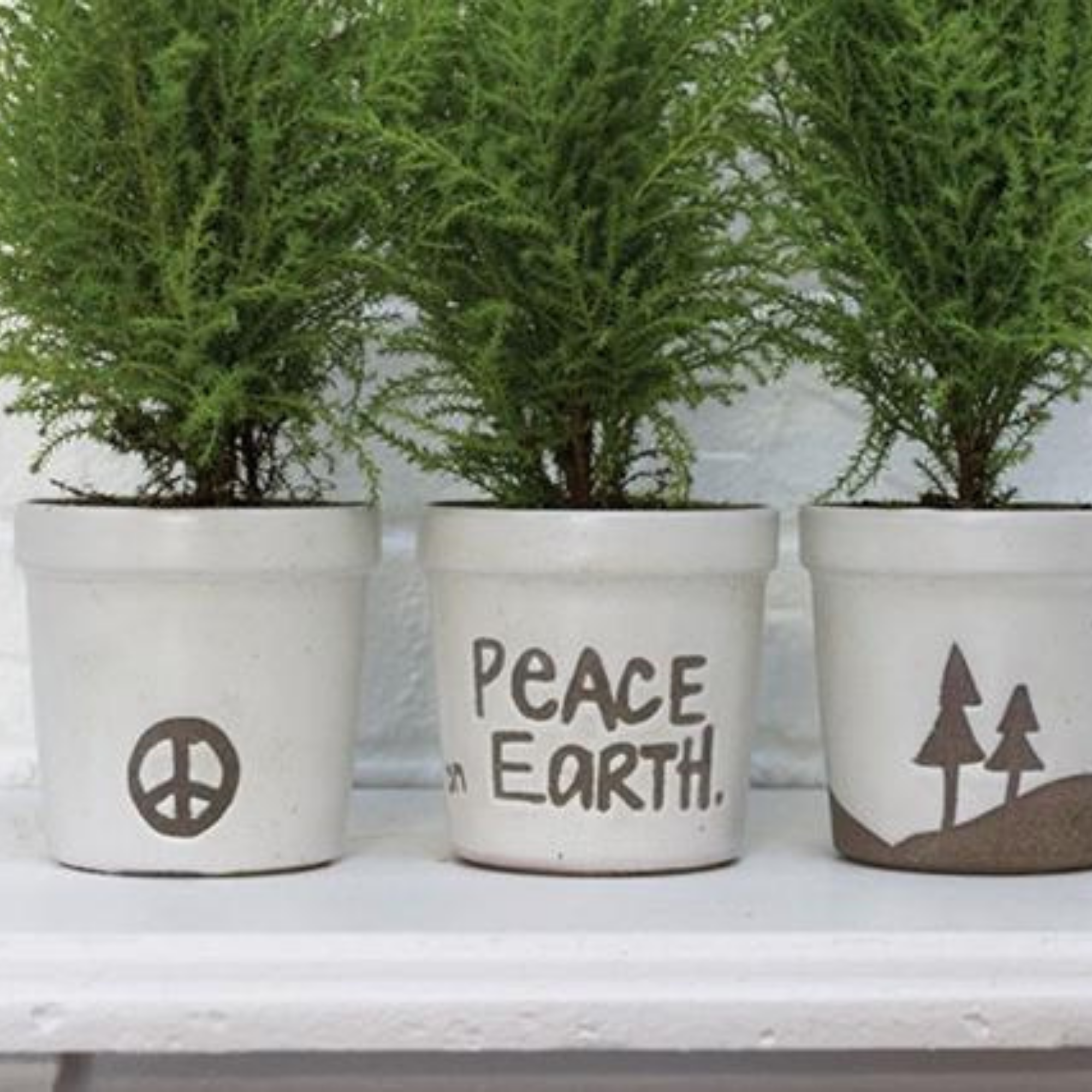 The wish pot
