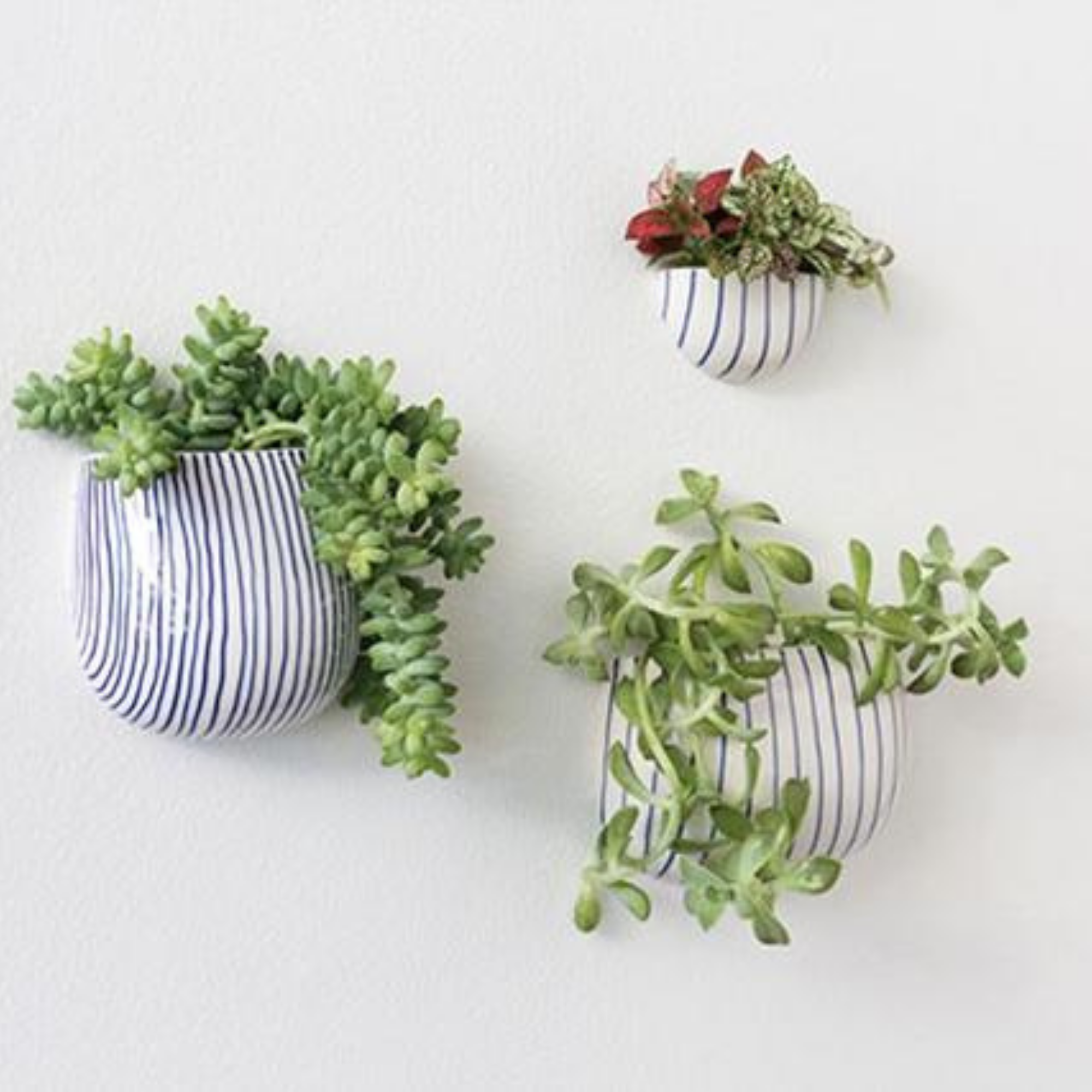 Wim wall planter