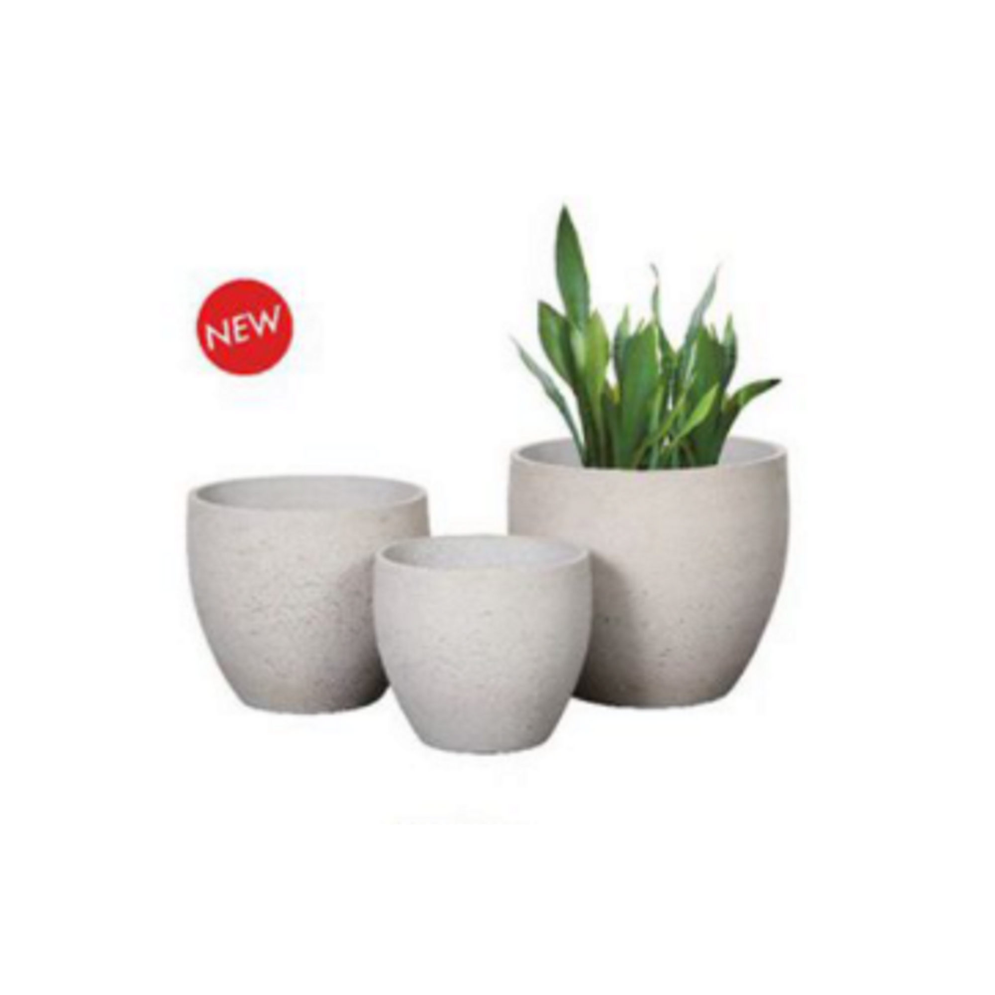 Ro-Cement pots