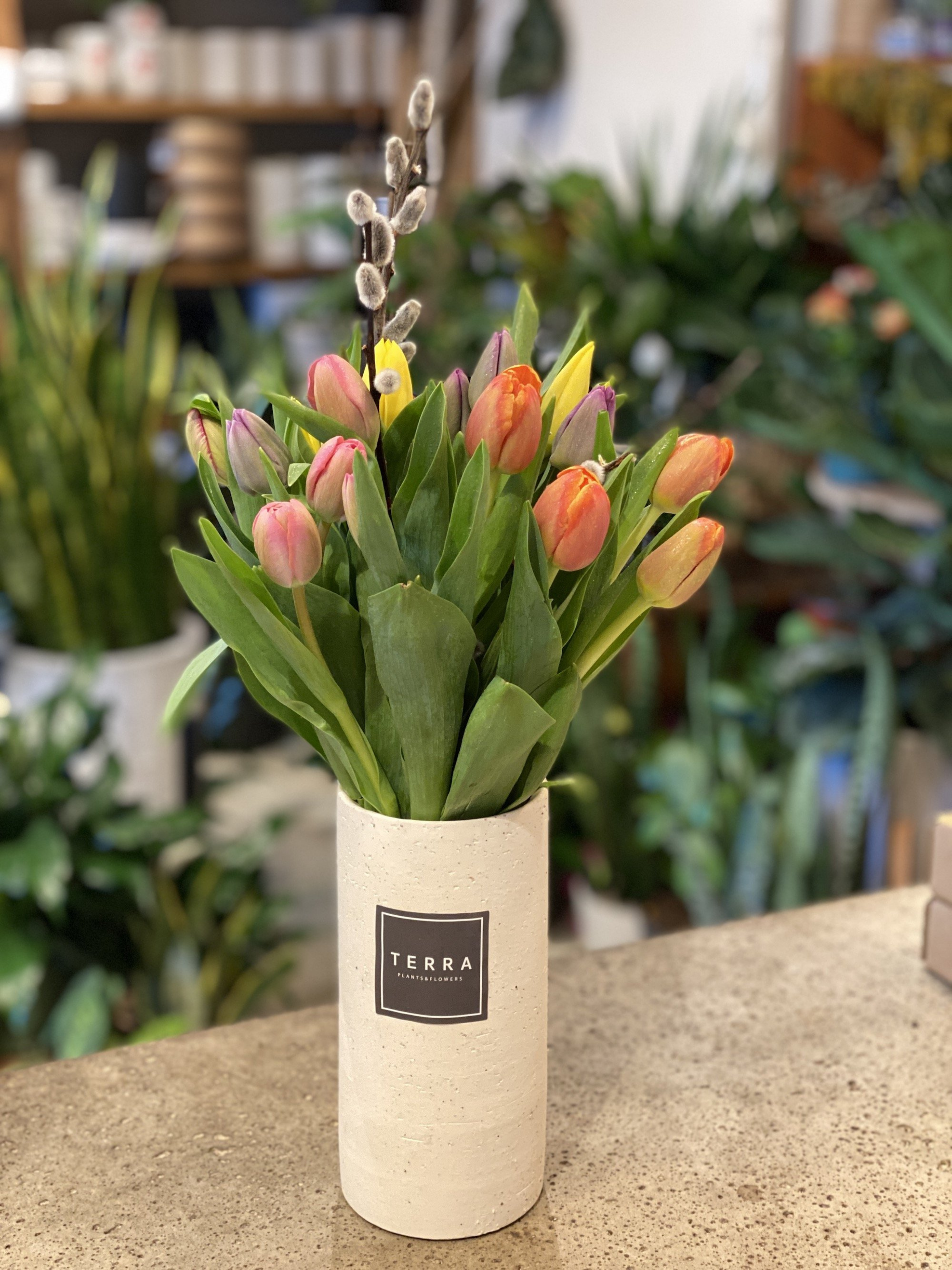 Tulips in vase