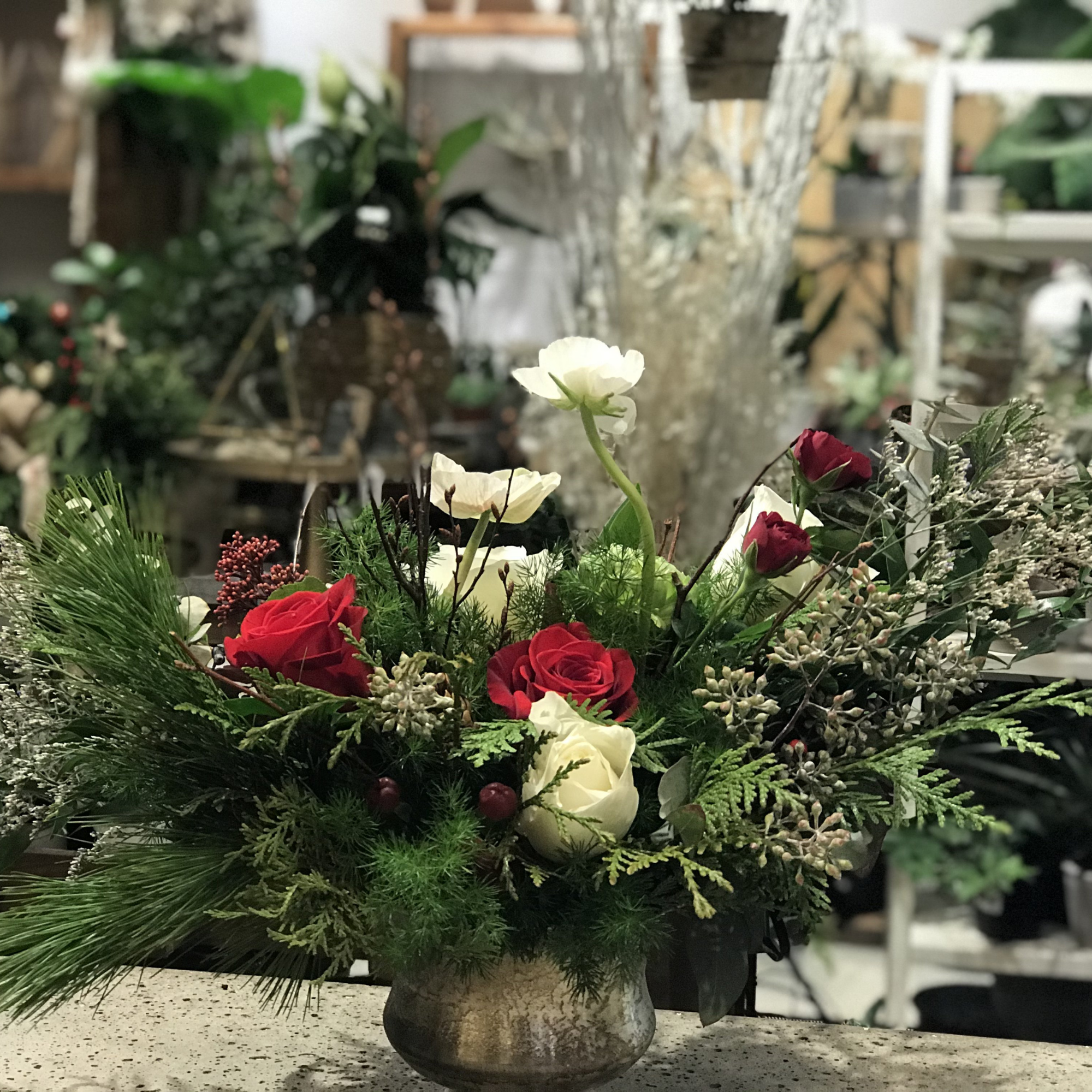 Winter Bloom 2