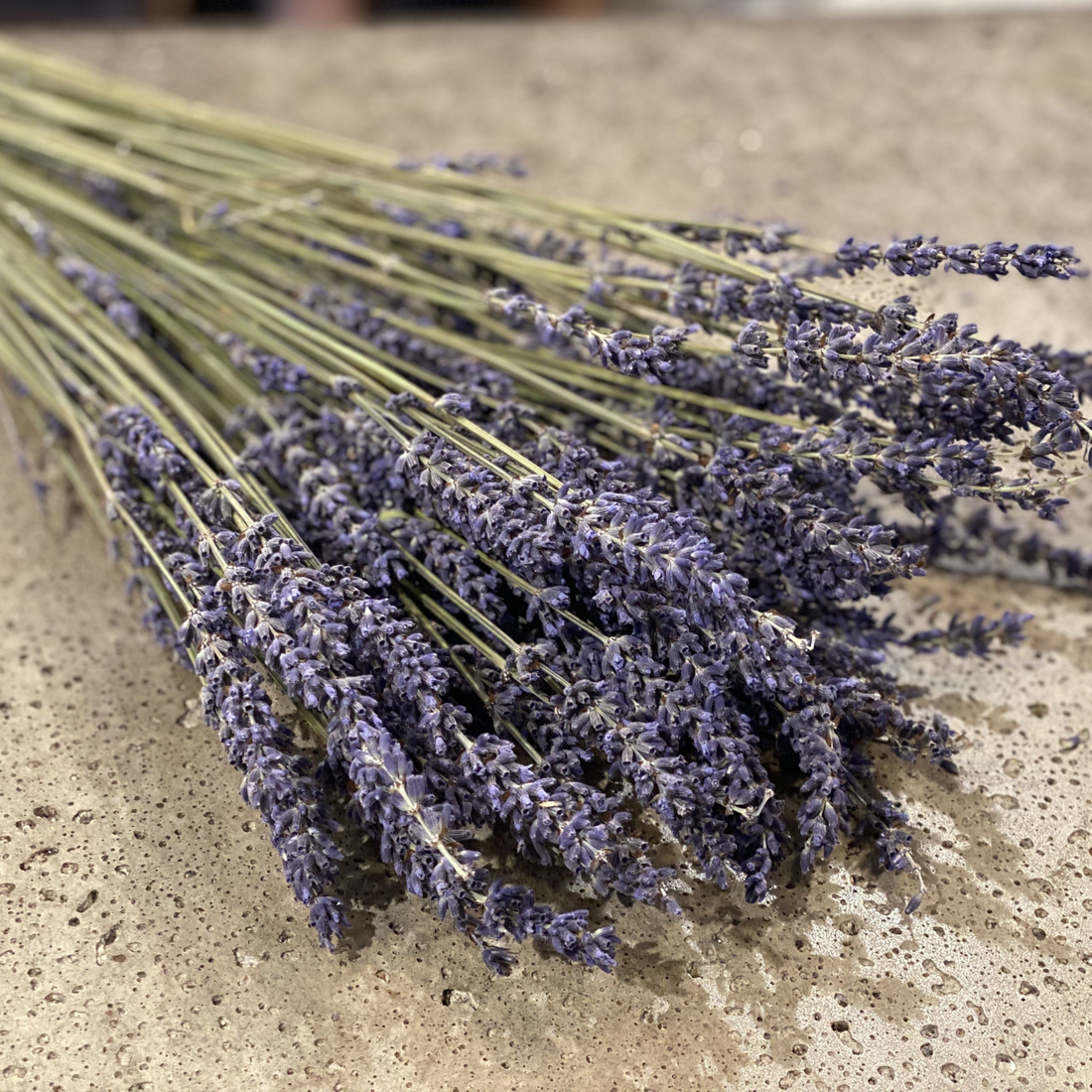 Dried Lavender bunch