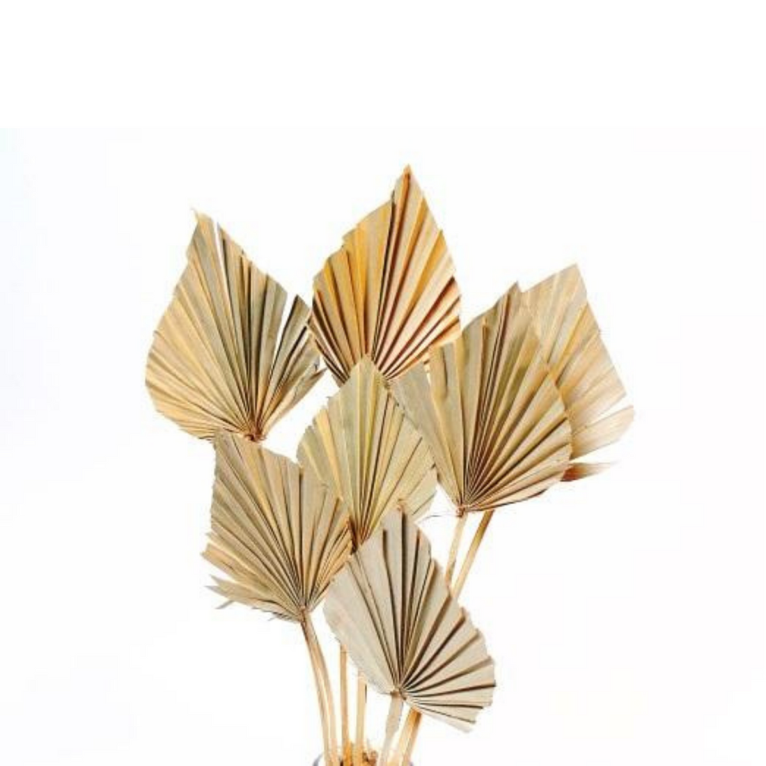 Palm spear small - natural