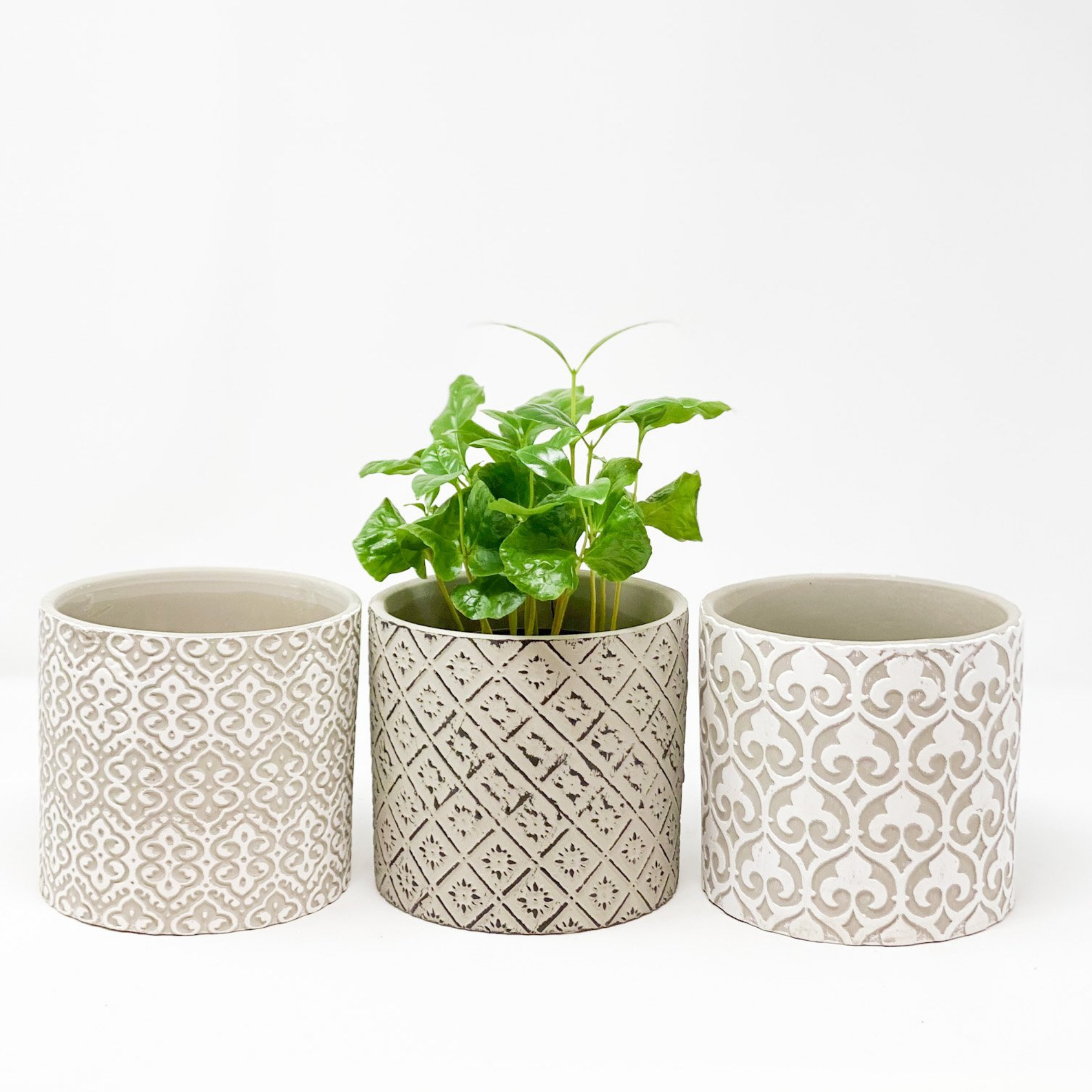 Cement Pots with Patterns