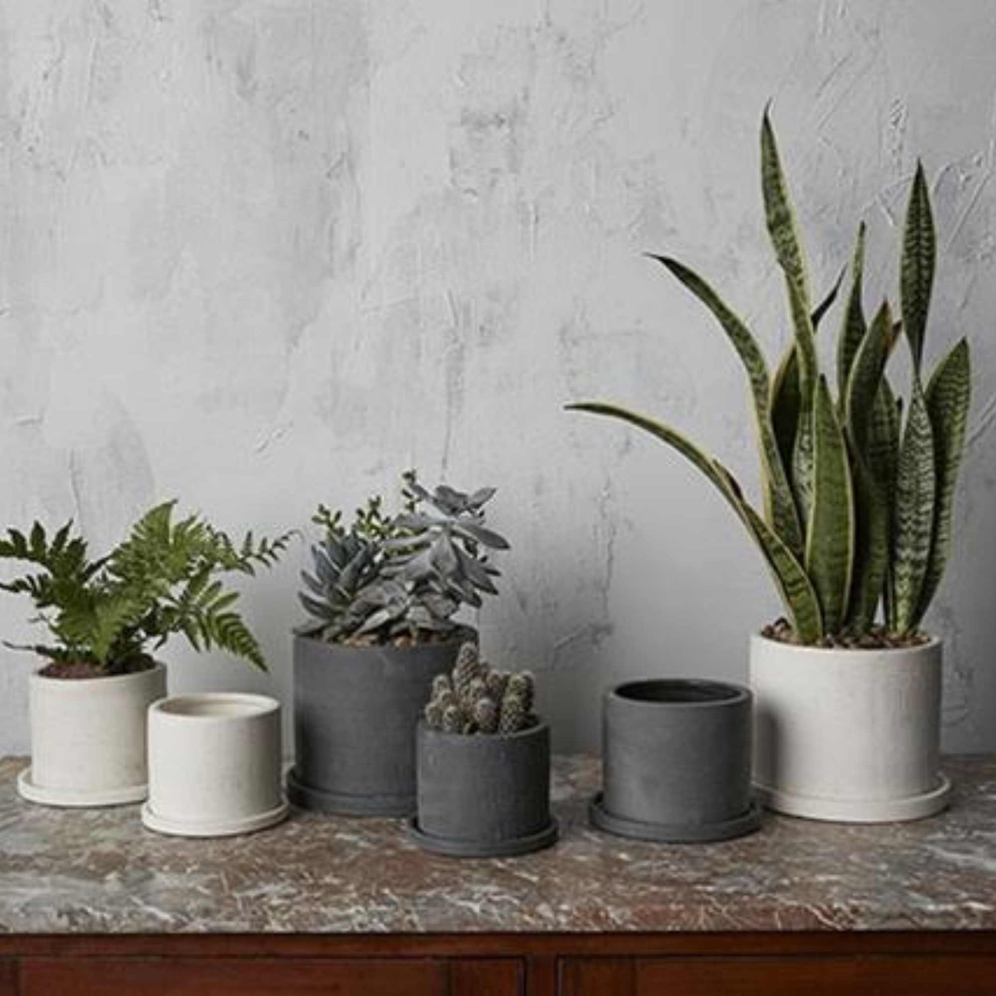 Easton pot