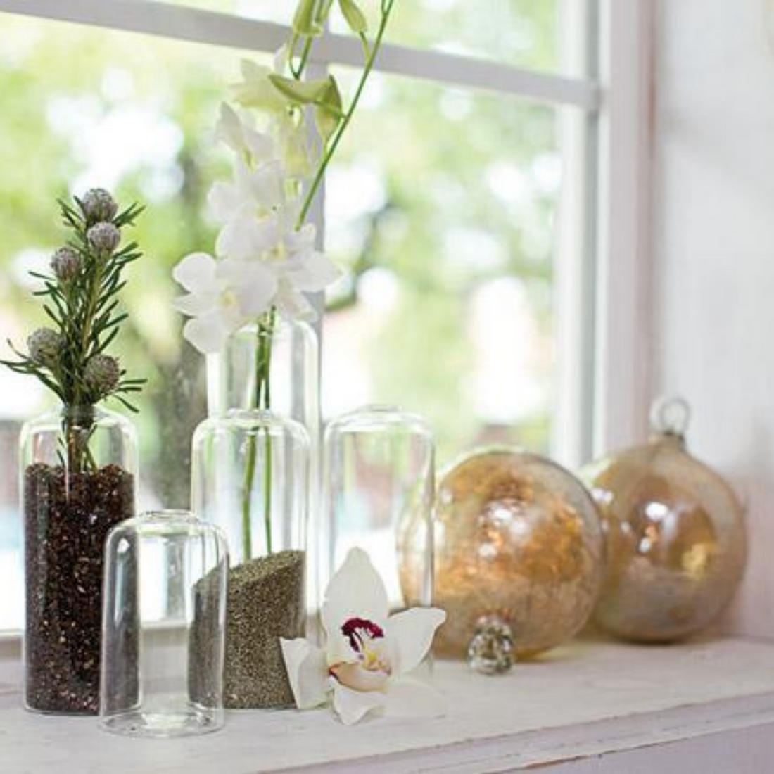 Highball Glass Bud Vase