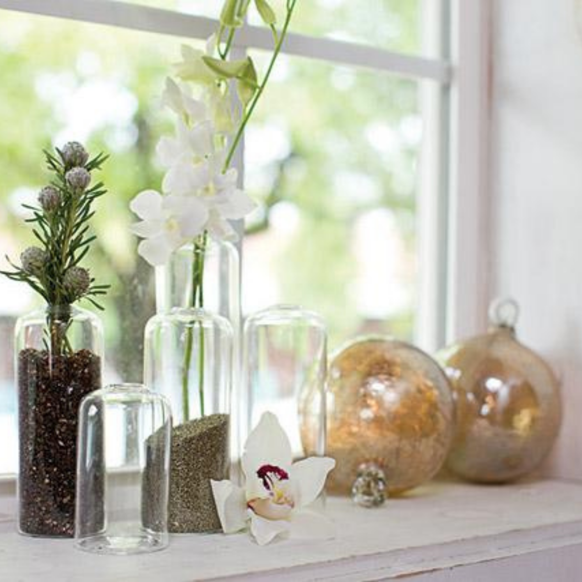 Highball Glass Bud Vase