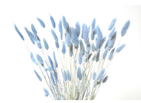 Bunny tails in blue 16"