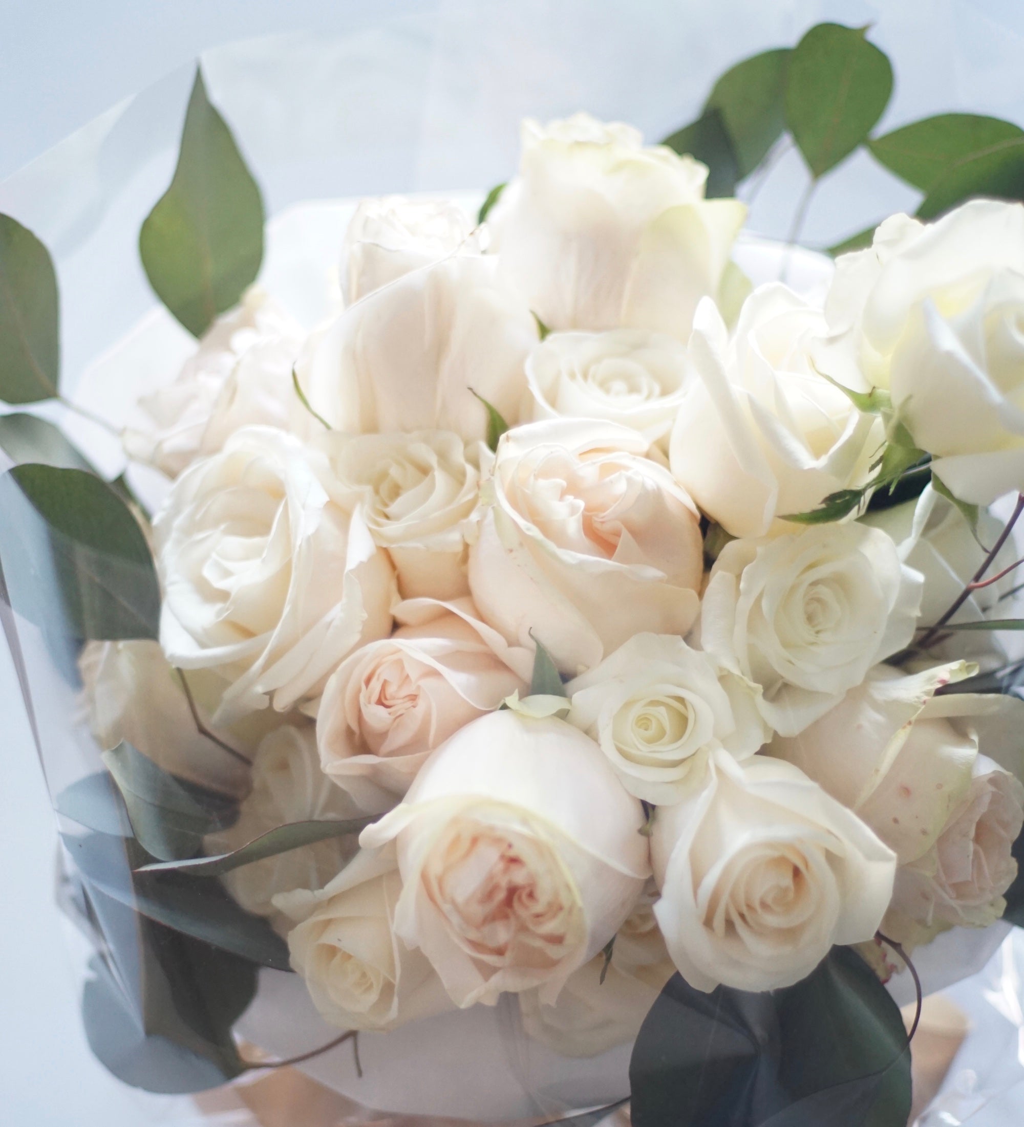 white roses