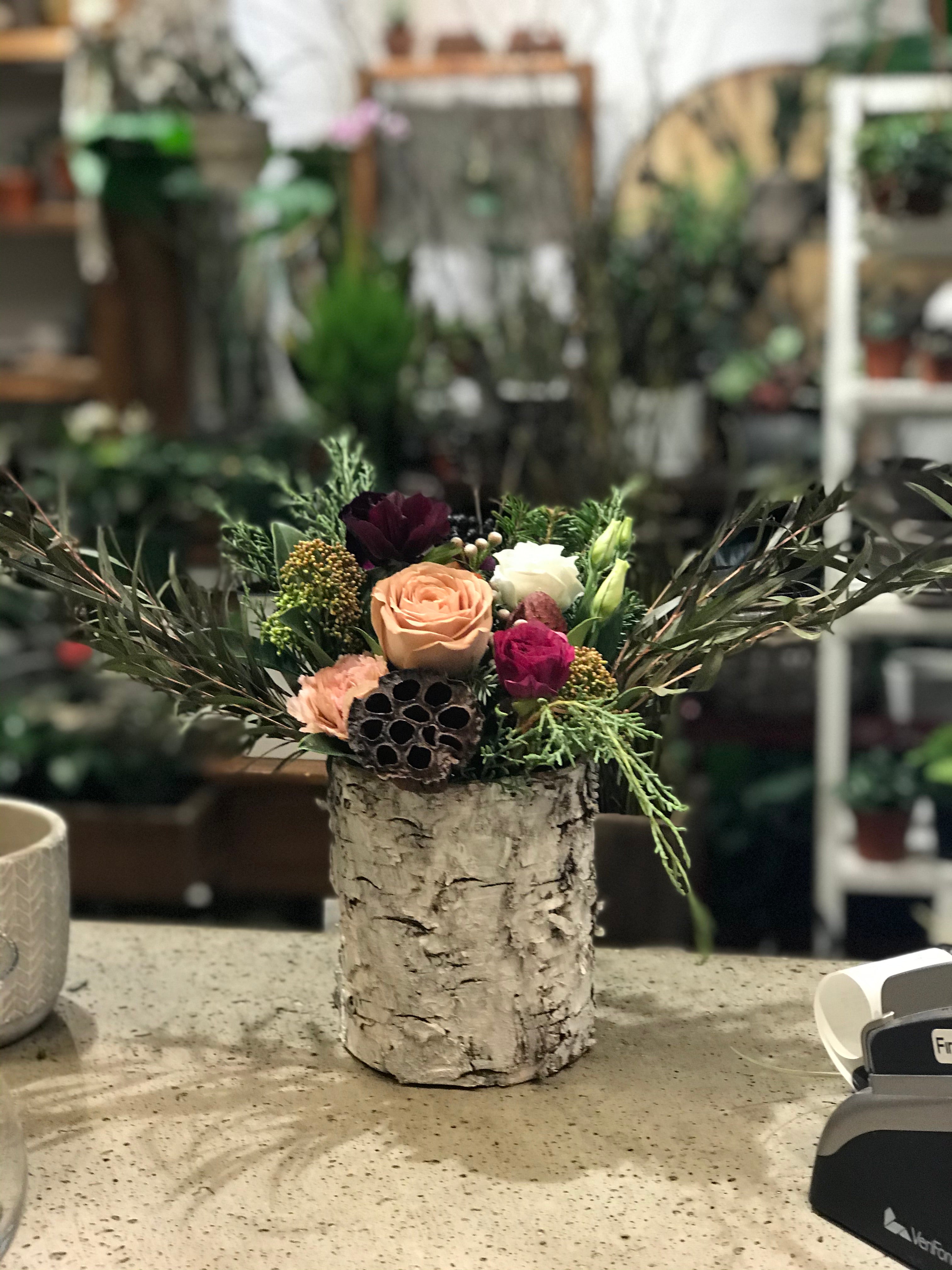 Elegant Winter
