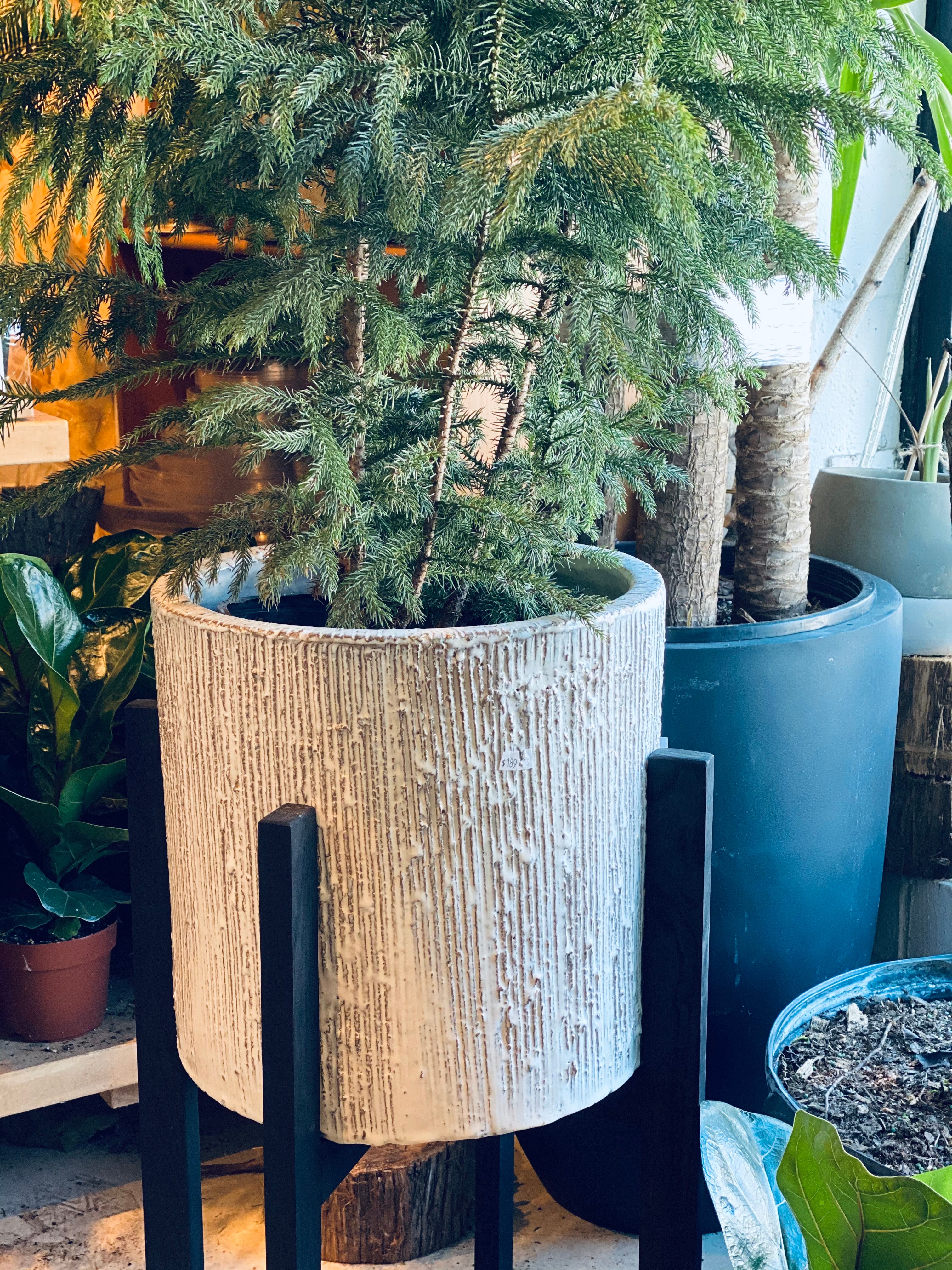 Camden Planter with Stand