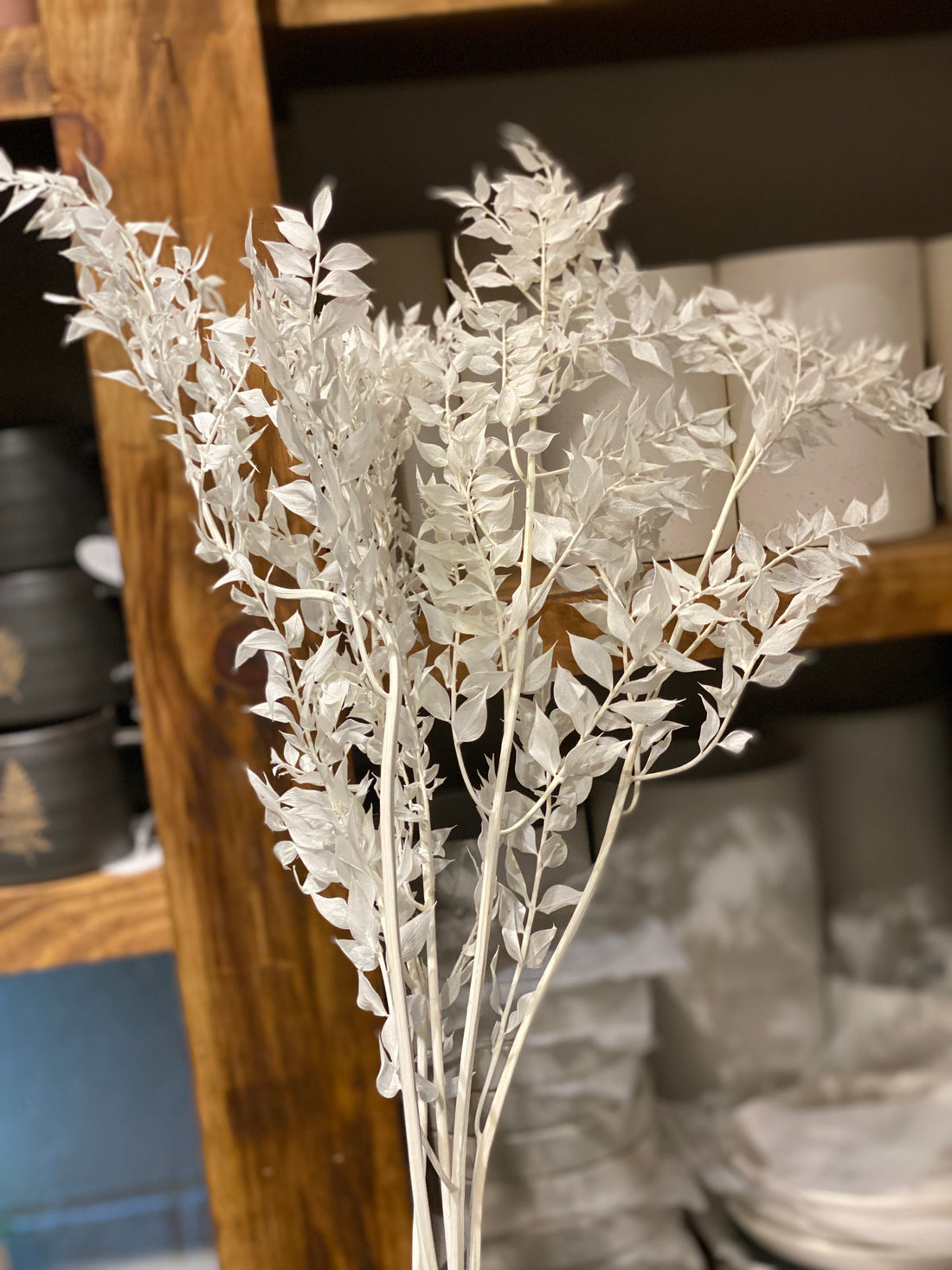 Bleached Ruscus bundle