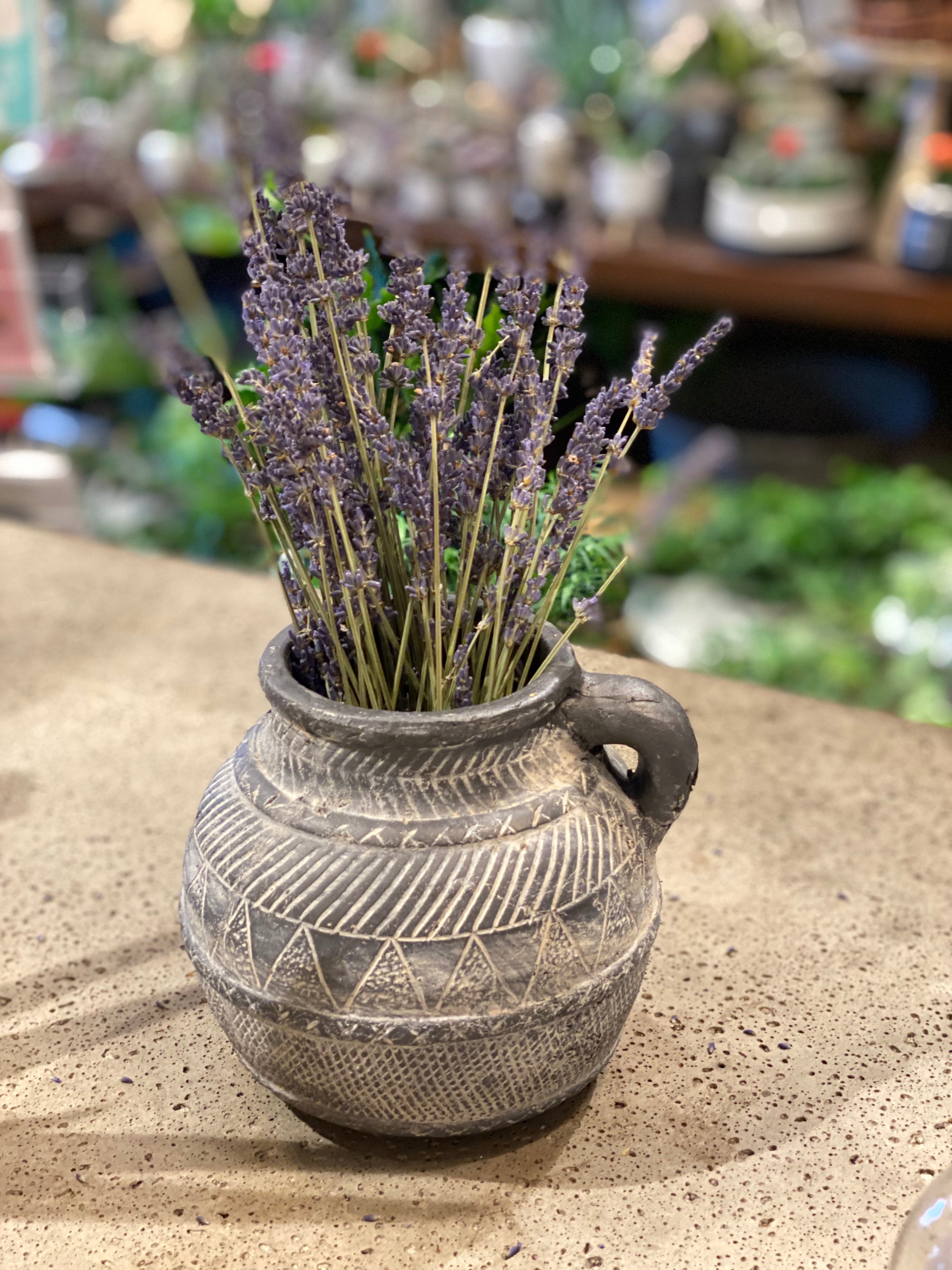 Terracotta Jug in Black