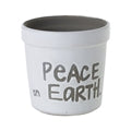 The wish pot