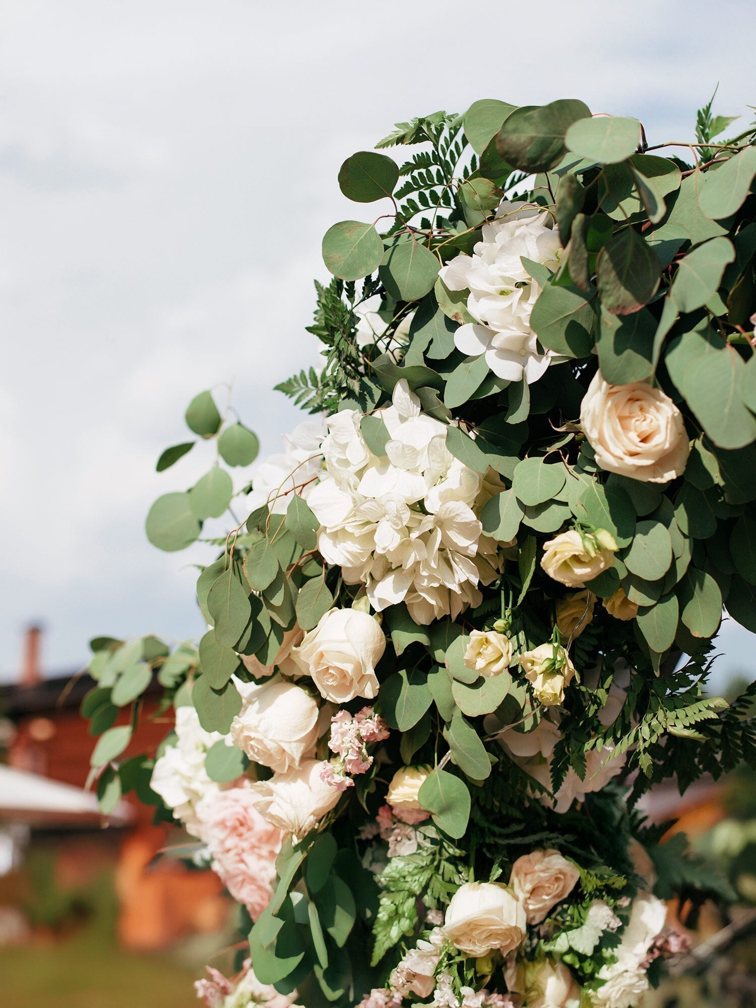 Eucalyptus Care Tips and Styling Ottawa