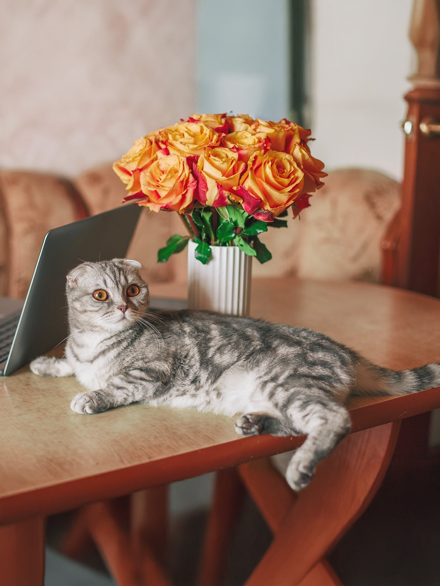 Pet safe plants and flowers guide ottawa