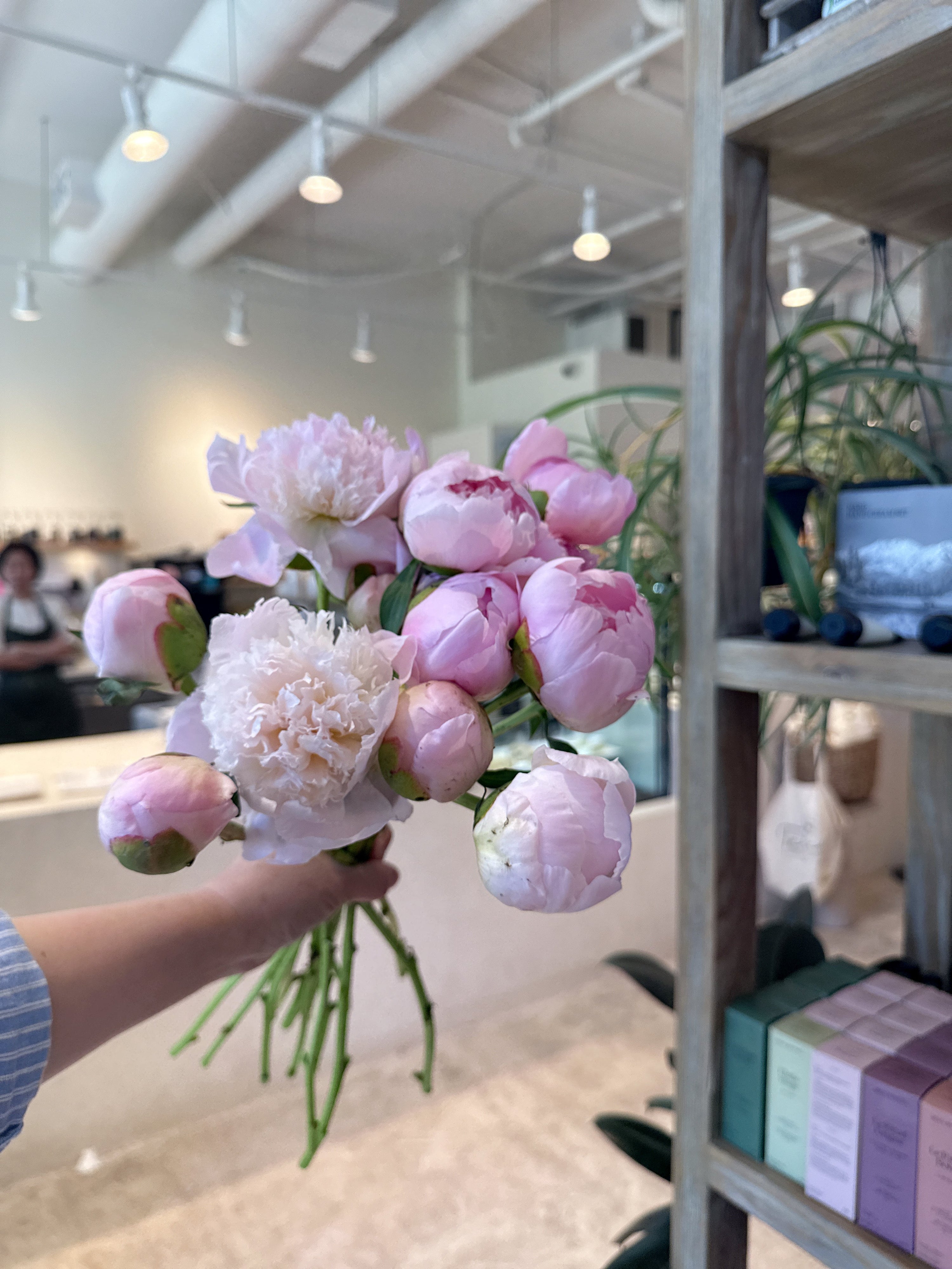 Ottawa Peony Floral Guide