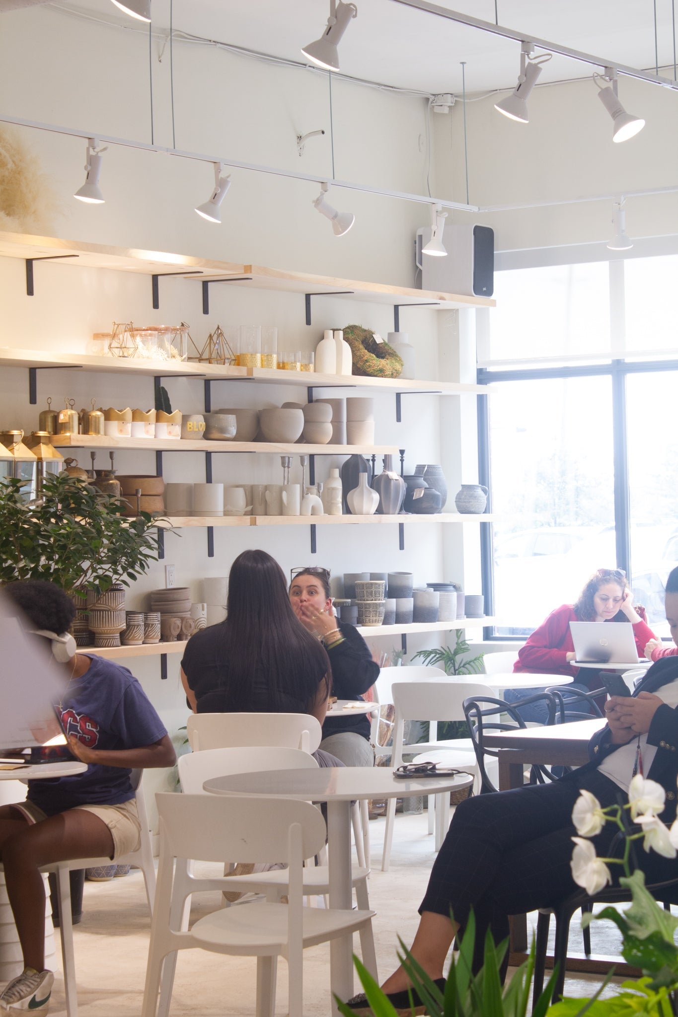 More Than a Café: Discover Community-Focused Events in Ottawa at Terra