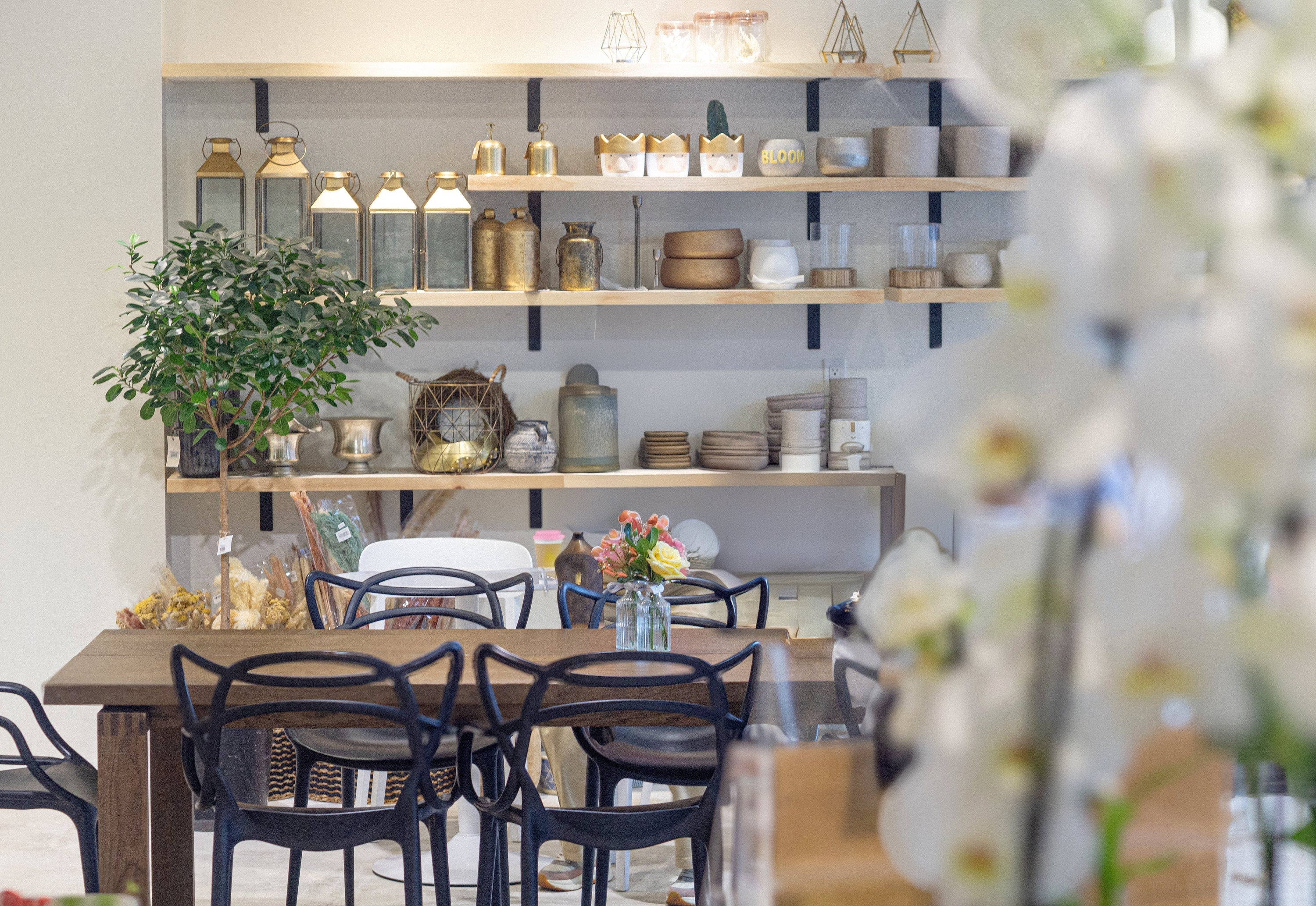 More Than a Café: Discover Community-Focused Events in Ottawa at Terra