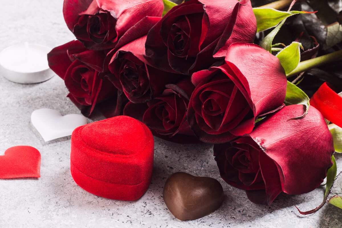 Valentine’s Day Flowers and Plants: The Ultimate Guide