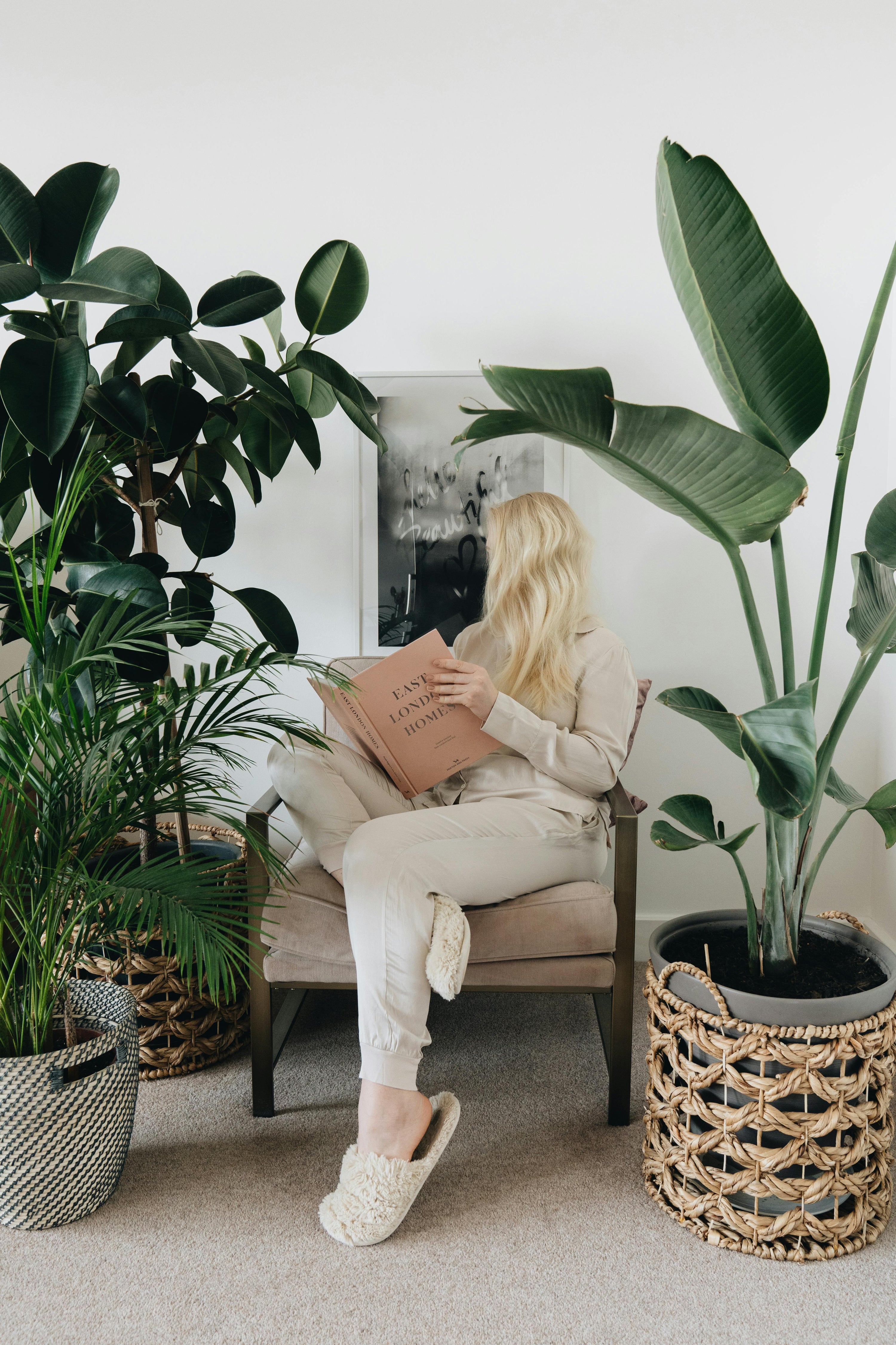 Holiday Plant Care: House Plant Care Tips While You Are Away