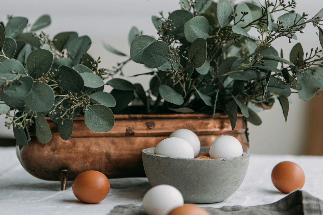 Eucalyptus Care Tips and Styling Ottawa