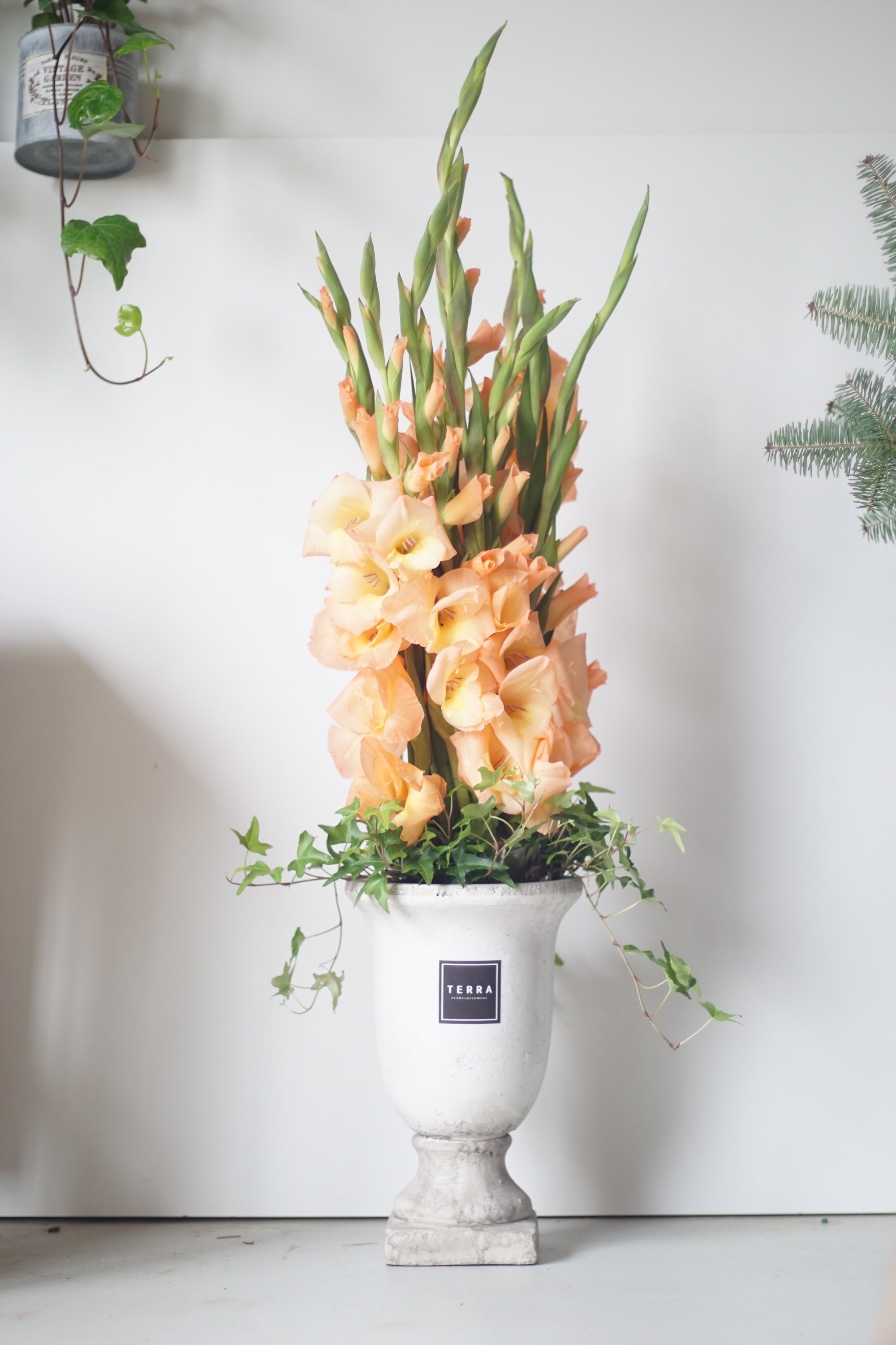 Flowers concert Memoire eternelle 特典 未開封 Memoire eternelle」コンサート入場特典&ギャラリー展 Memoire