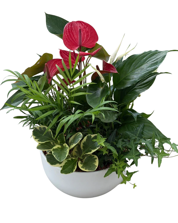 Mother&
