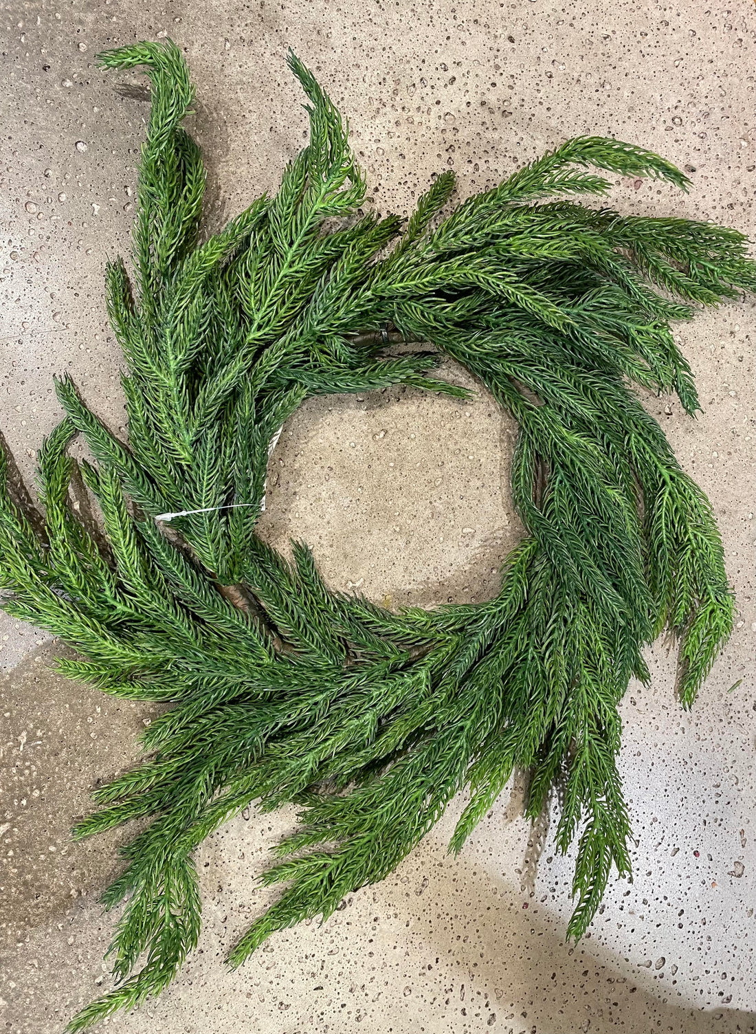 16&quot; Fresh Touch Norfolk Pine Wreath