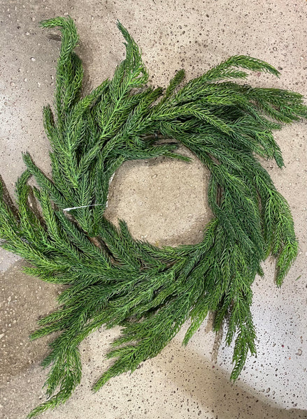 16" Fresh Touch Norfolk Pine Wreath