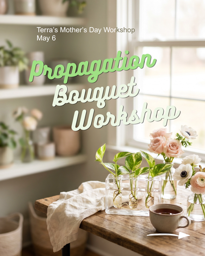 Mother’s Day Propagation Bouquet Workshop-May 6