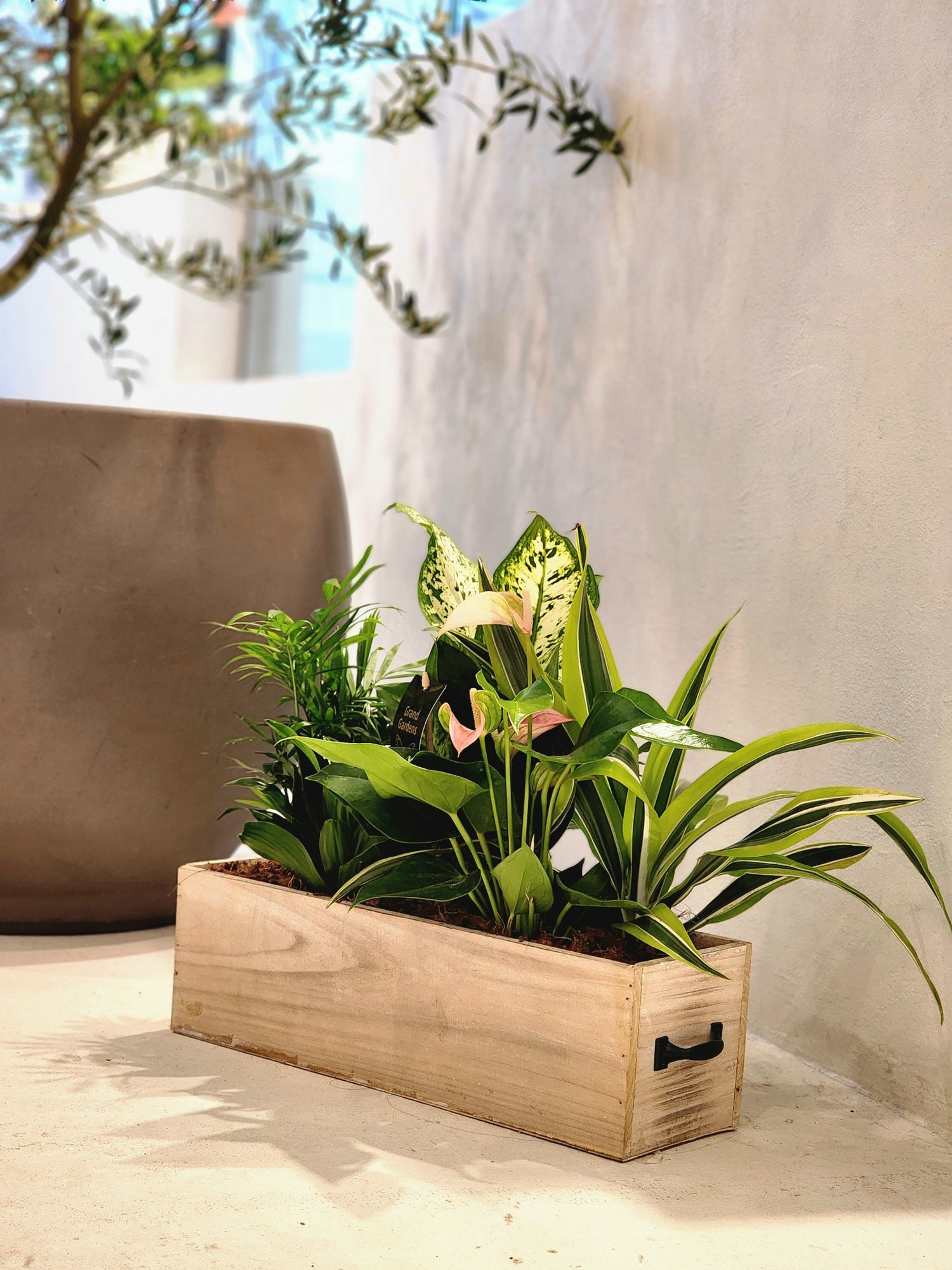 XL Light Wood Rectangle Planter