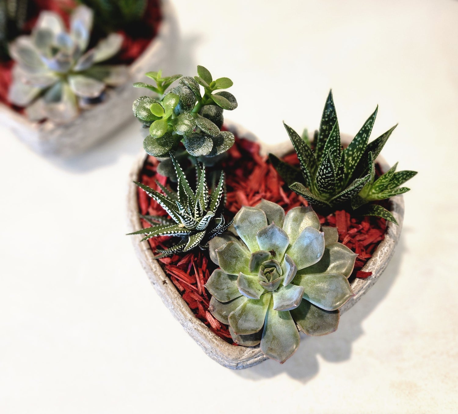 Succulent Stone Heart Planter