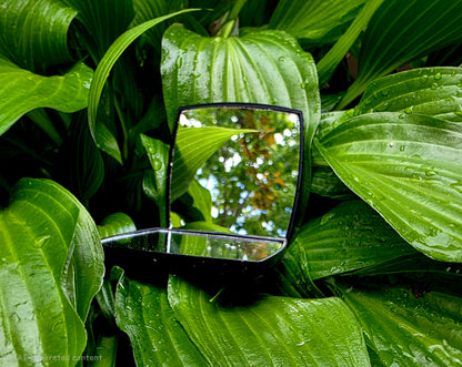 Mother-of-Pearl Craft Workshop: June 25