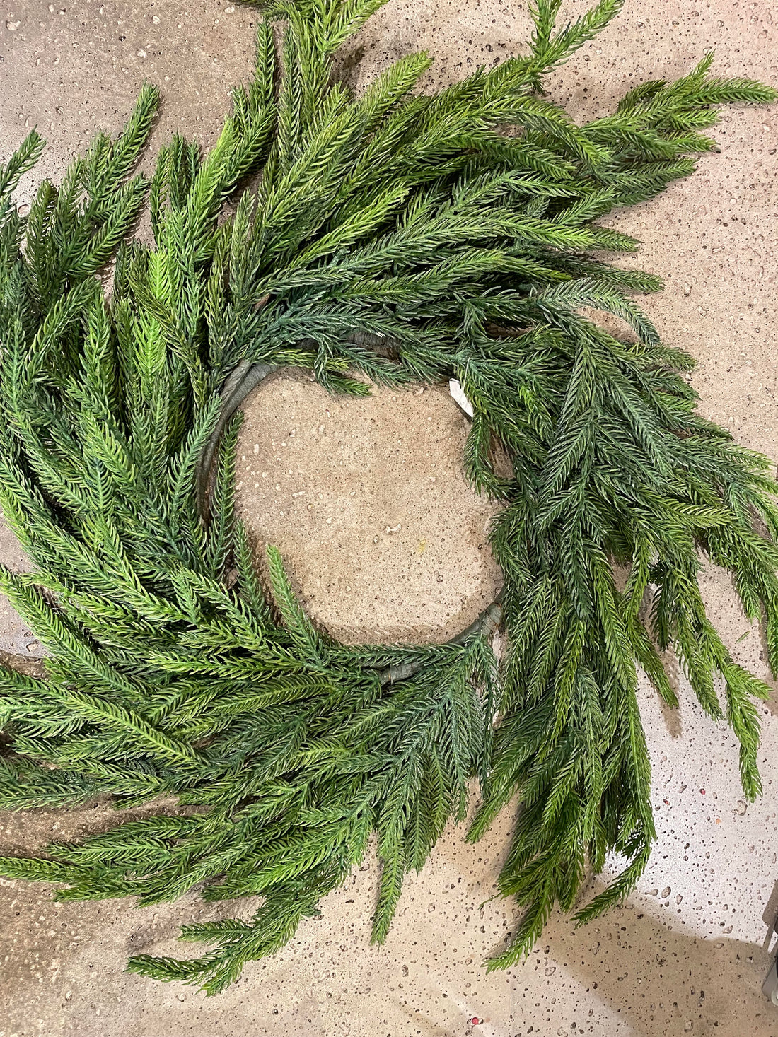 20&quot;  Fresh Touch Norfolk Pine Wreath