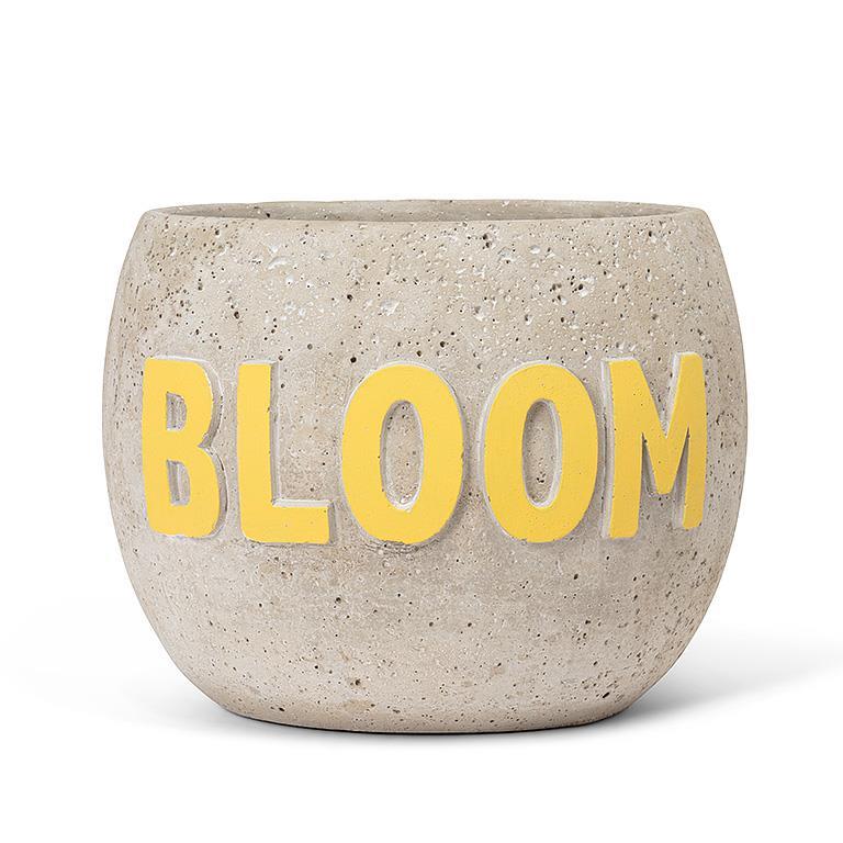 Bloom Planter 6"