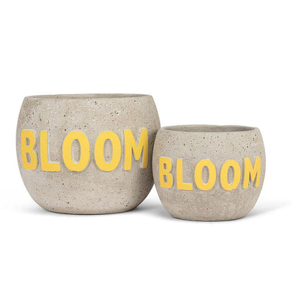 Bloom Planter 6&quot;