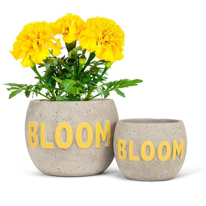 Bloom Planter 4&quot;