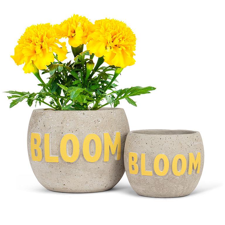Bloom Planter 6"