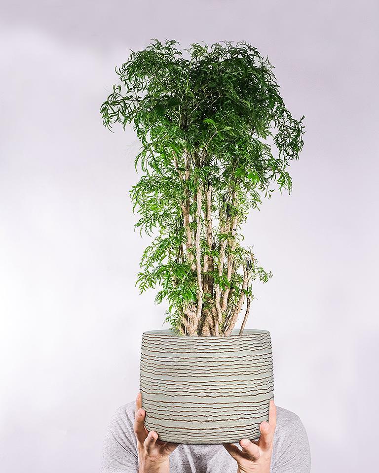 Large Wavy Ripple Planter