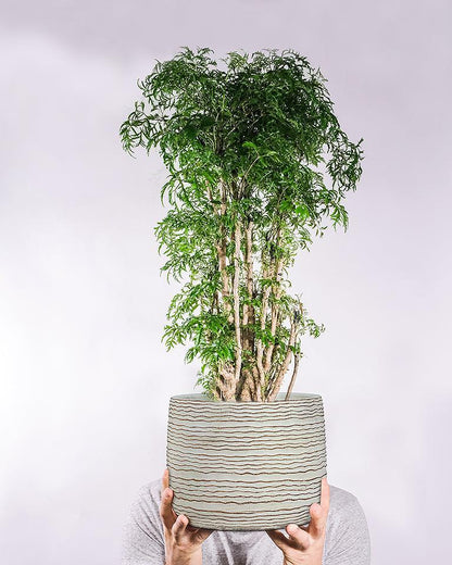Large Wavy Ripple Planter