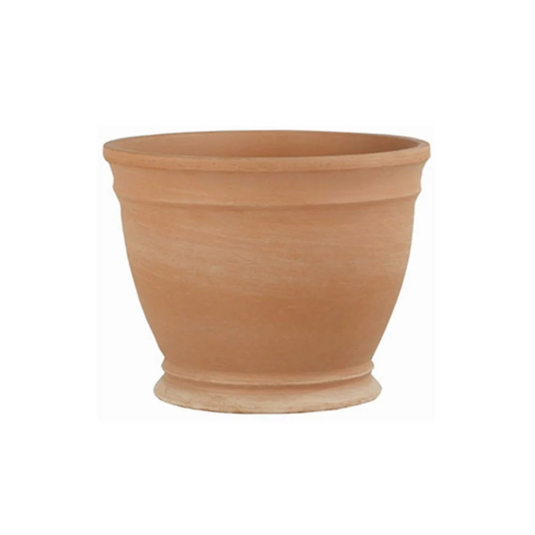 GALLICUS PLANTER