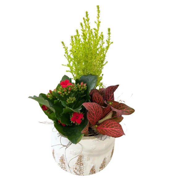 Christmas Mix Snow Tree White Ceramic