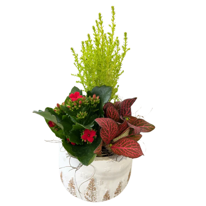 Christmas Mix Snow Tree White Ceramic