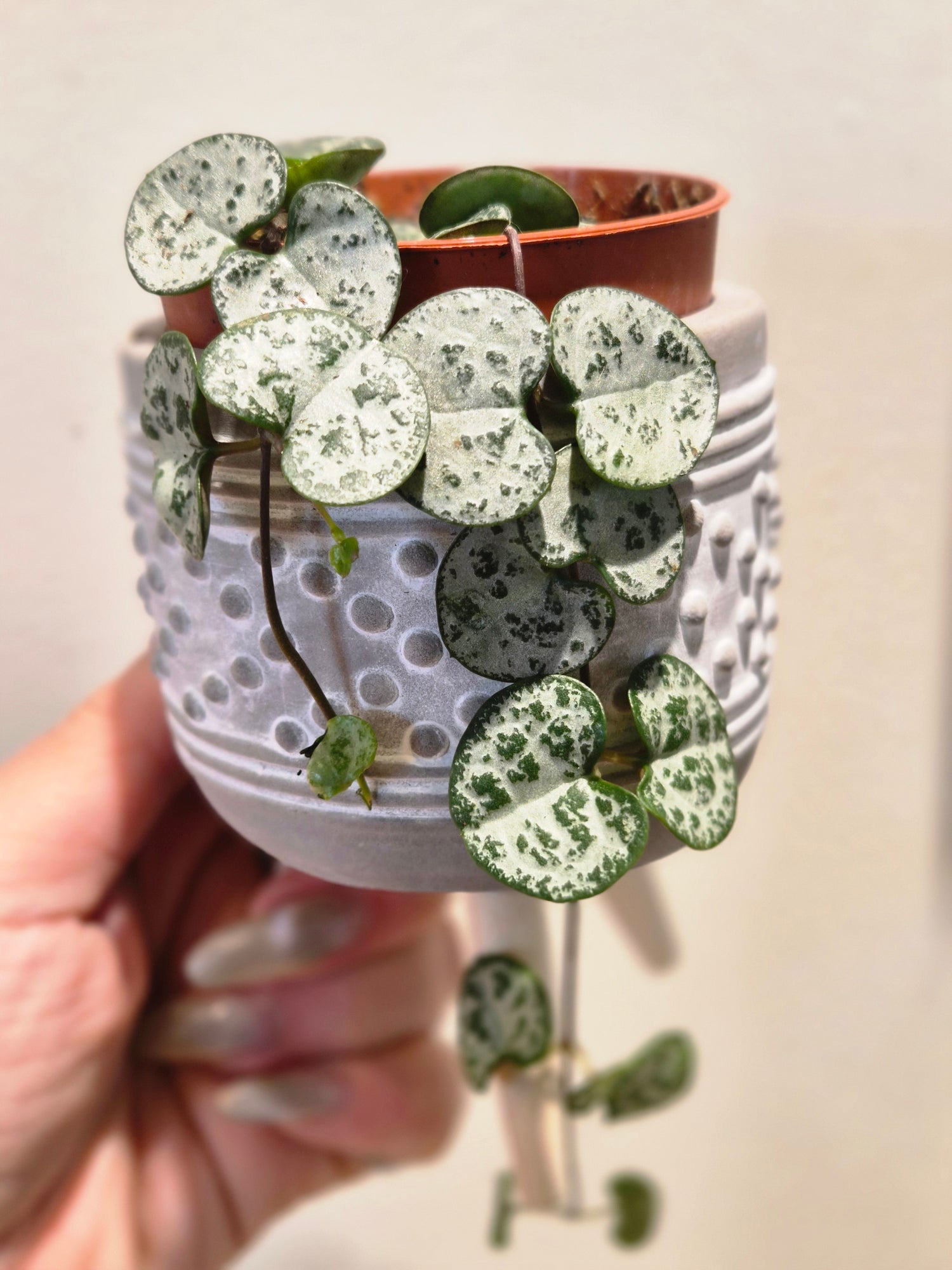 String of Hearts