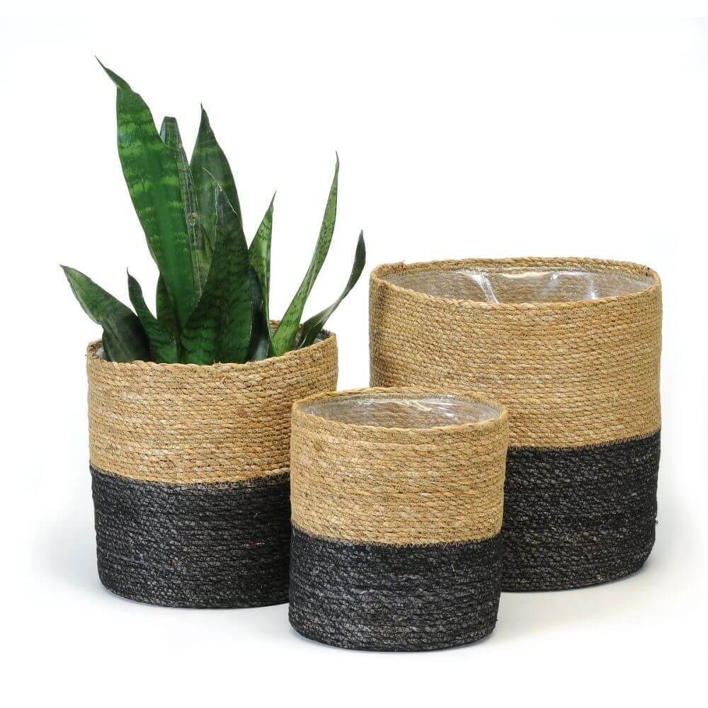 BLACK/NATURAL PLANT BASKET