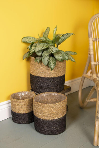 BLACK/NATURAL PLANT BASKET